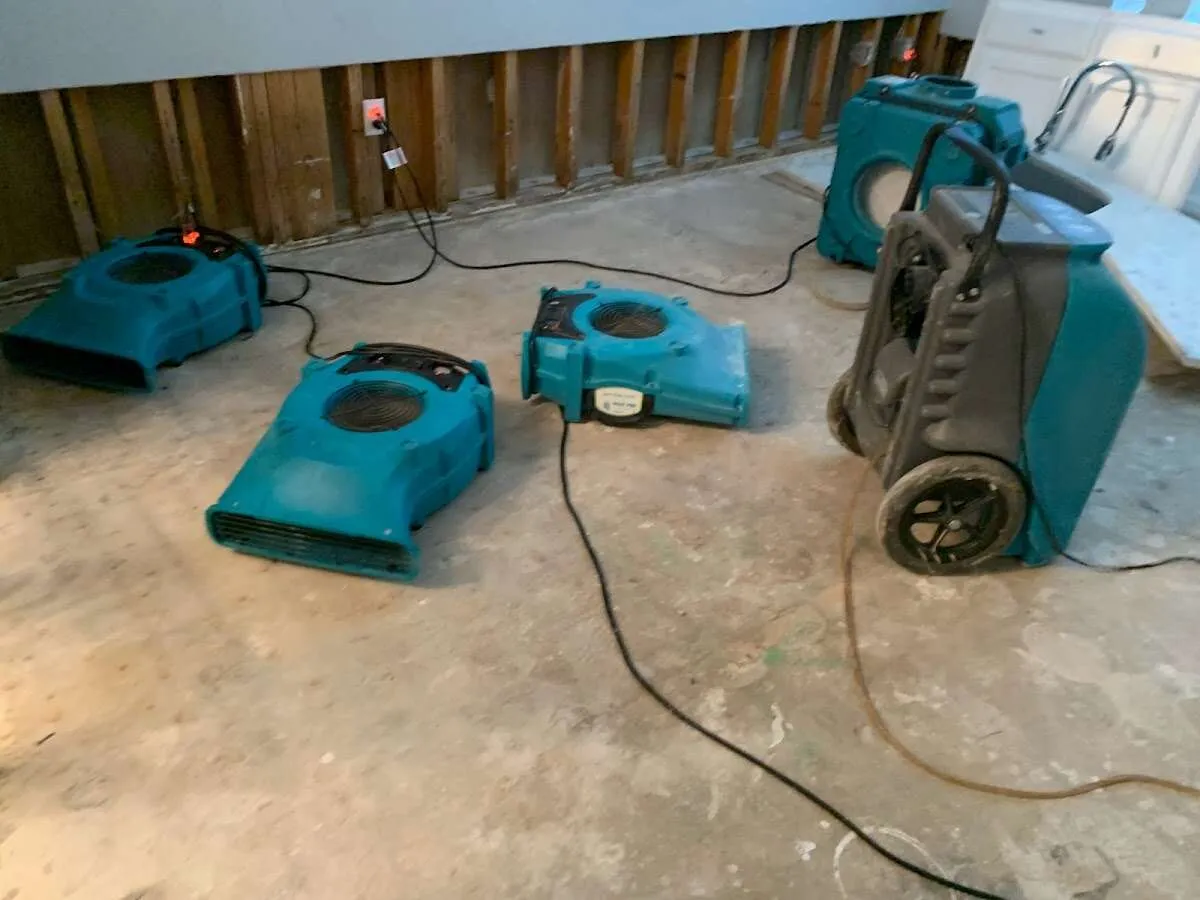 Mold Remediation & Removal in Erlanger, KY
